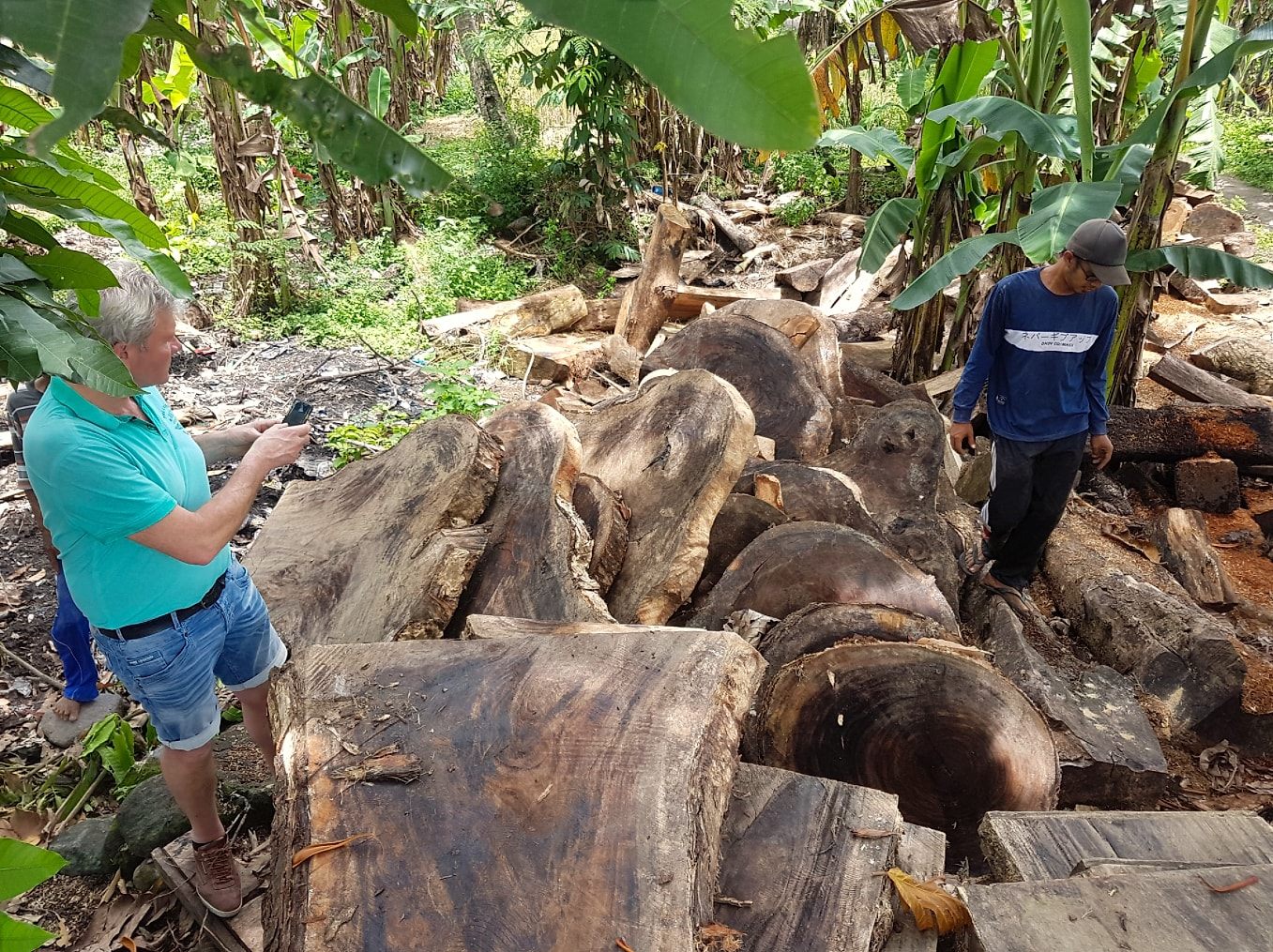 Eigen inkoopteam keurt massief wortelhout aan de bron in Indonesië