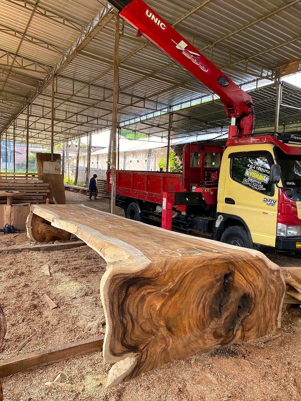 Massieve suar-stam op transport