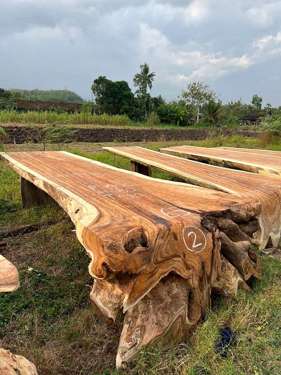 Lange suar-planken in het veld